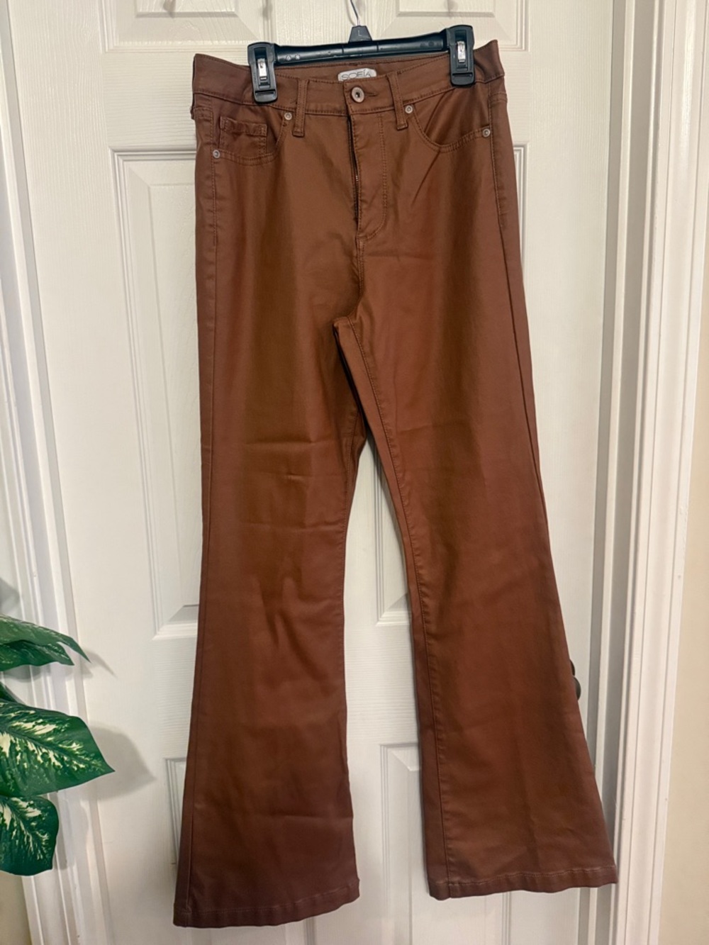 sofia by sofia vergara Chocolate Brown Flare Jeans